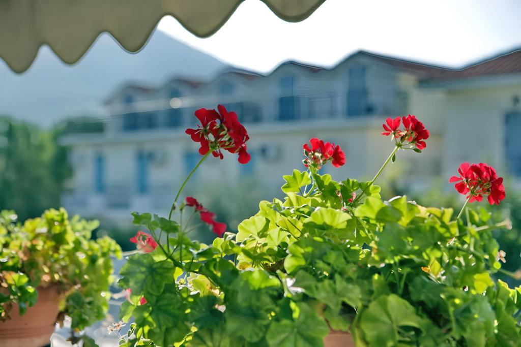 Theofilos Classic Hotel