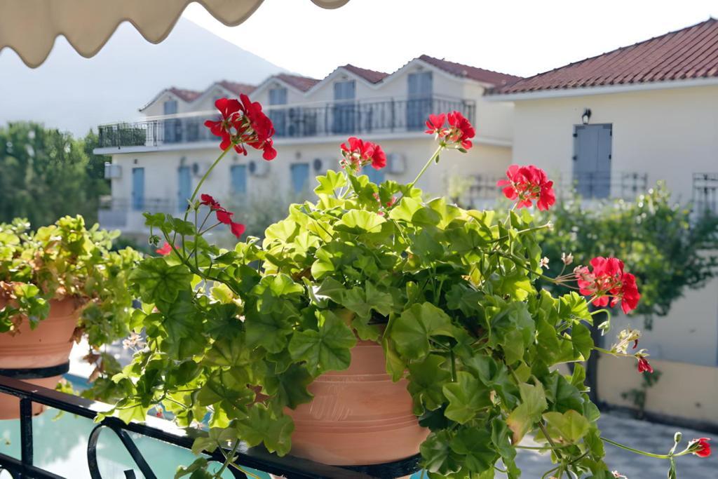 Theofilos Classic 3* Petra (Lesbos)
